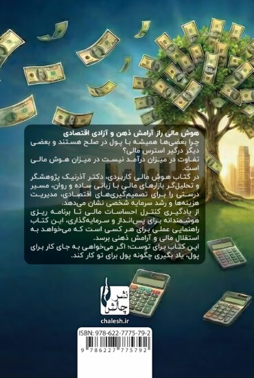 هوش مالی کاربردی-پشت جلد